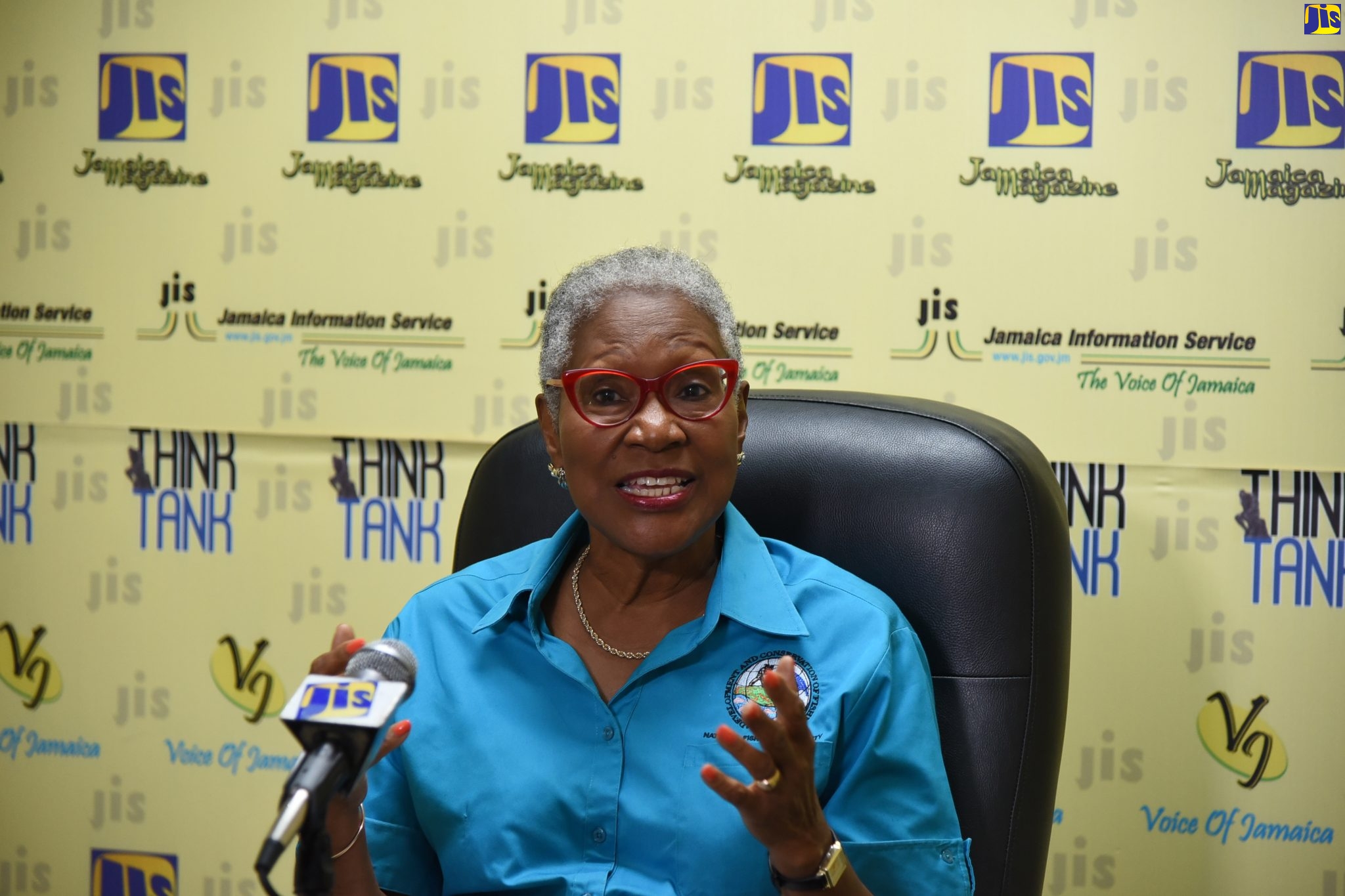 Director of Corporate Services at the National Fisheries Authority (NFA), Angela Patterson, speaks at a JIS ‘Think Tank’, on October 13.