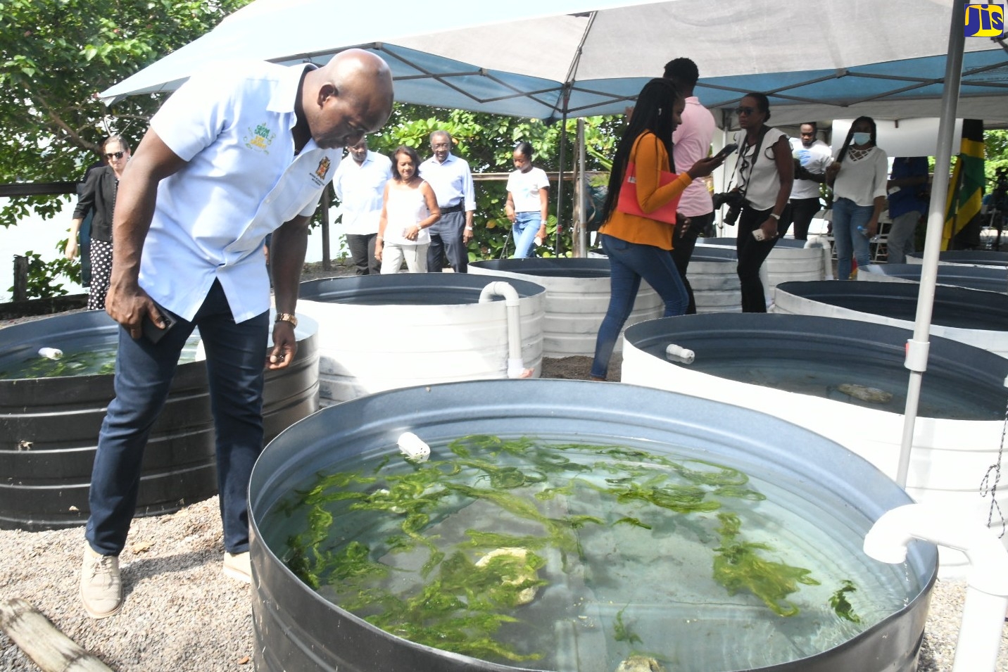 Minister of Agriculture and Fisheries, Hon. Pearnel Charles Jr. (left), observes a Diadema Sea Urchin in a tank system built to monitor and protect the sea animal. He toured sections of the Oracabessa Fish Sanctuary in St. Mary on November 4.