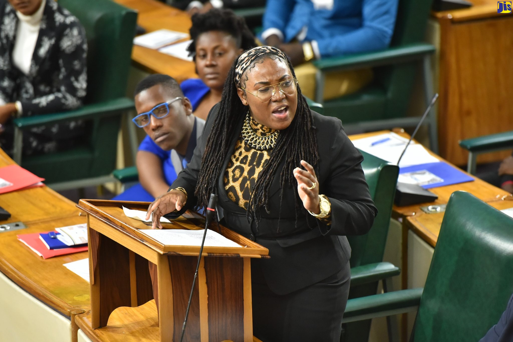 Youth Parliamentarian, Sherika Cheeke-Perkins, emphasises a point while speaking during Monday’s (November 28) sitting of the National Youth Parliament of Jamaica at Gordon House in downtown Kingston.