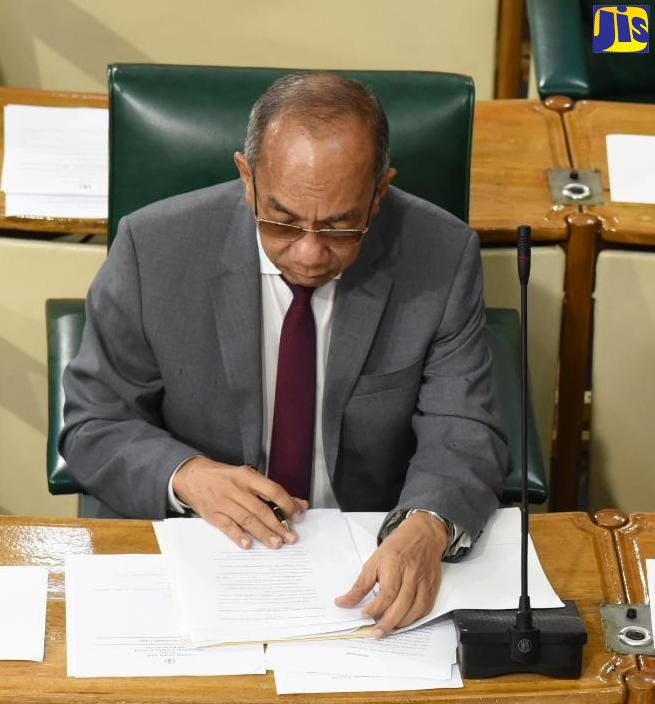 Minister of National Security, Hon. Dr. Horace Chang, peruses documents during the House of Representatives’ sitting on Tuesday (November 1).