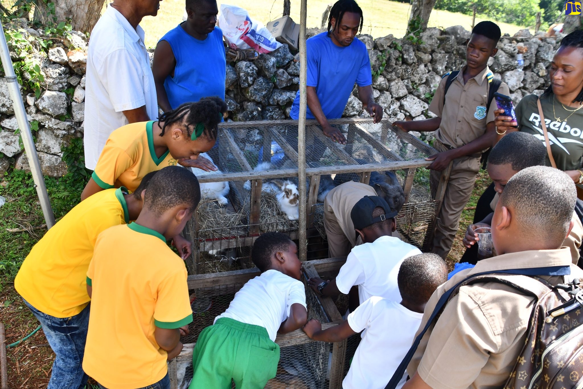 School girls participate in the exciting a goat scramble at the Minard Livestock Show and Beef Festival at Minard Estate in Brown’s Town, St. Ann, on Thursday, November 10.