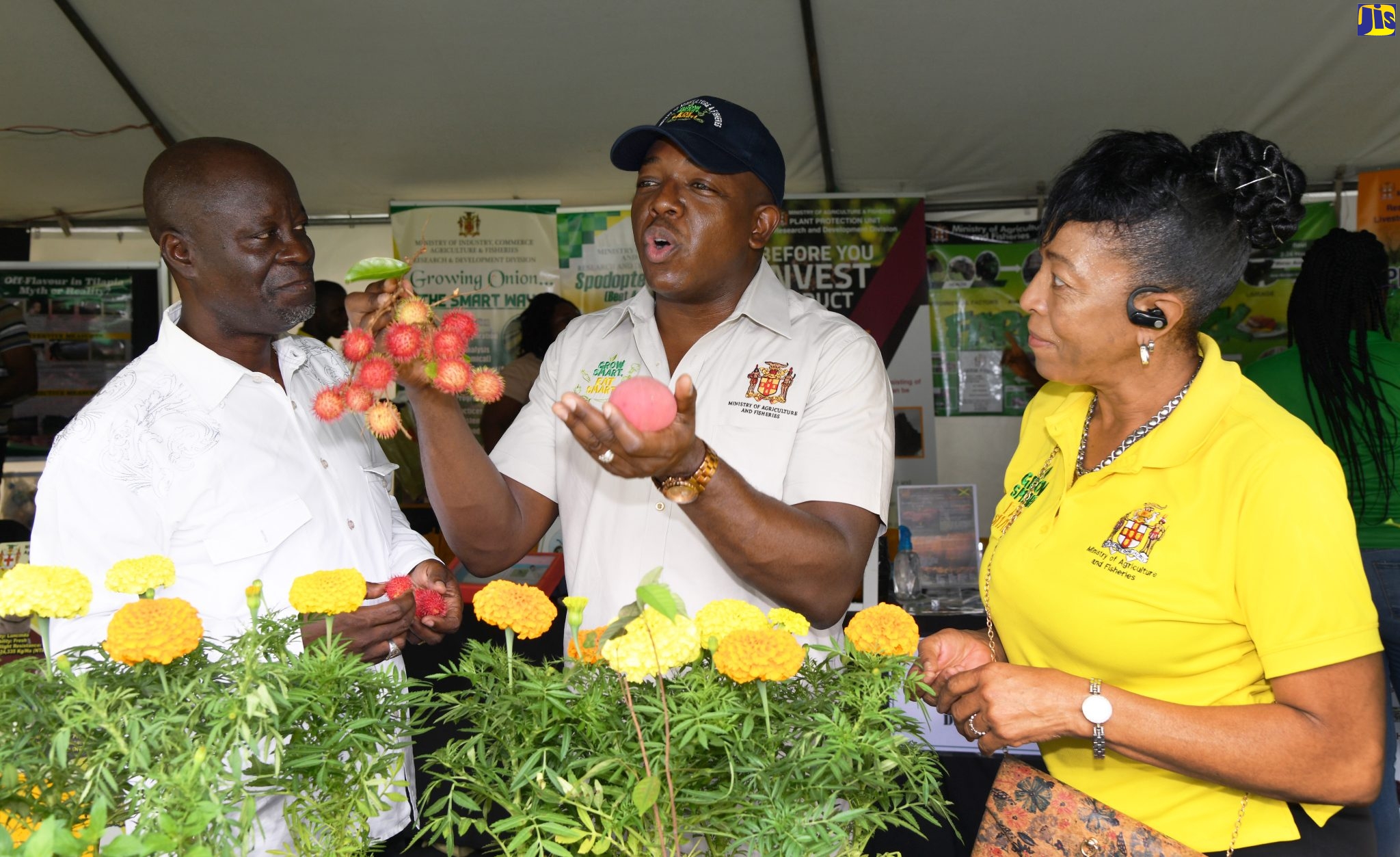 Agriculture Ministry to Engage Teachers on ‘Grow Smart, Eat Smart’ Campaign
