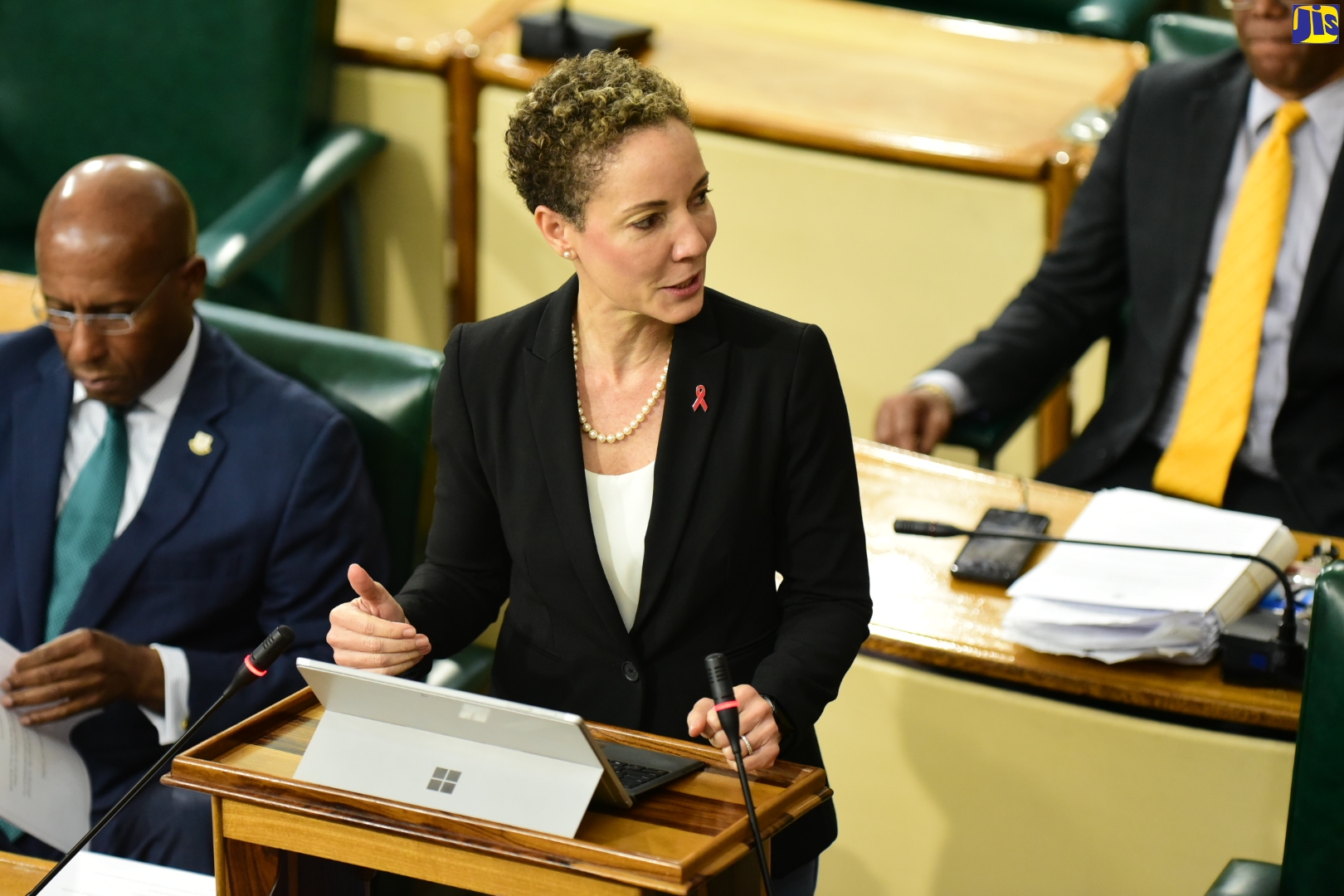 Jamaica Pays Tribute to Countries for 60 Years of Diplomatic Relations