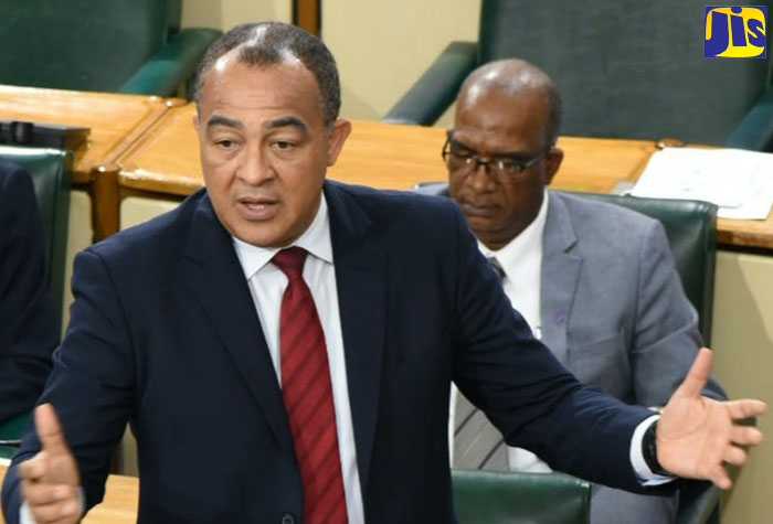 Minister of Health and Wellness, Dr. the Hon. Christopher Tufton, addresses the House of Representatives on December 13.