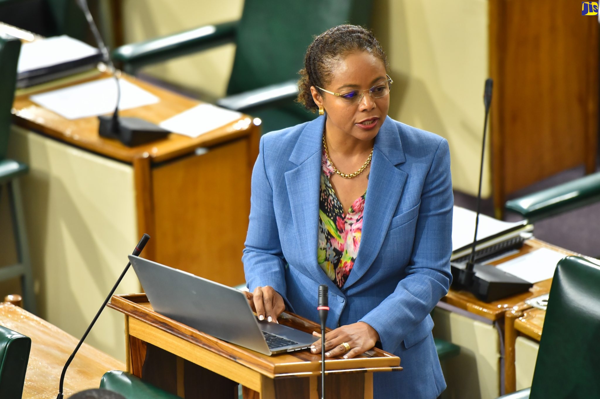 Minister of Legal and Constitutional Affairs, Hon. Marlene Malahoo Forte, addresses the House of Representatives on December 6.