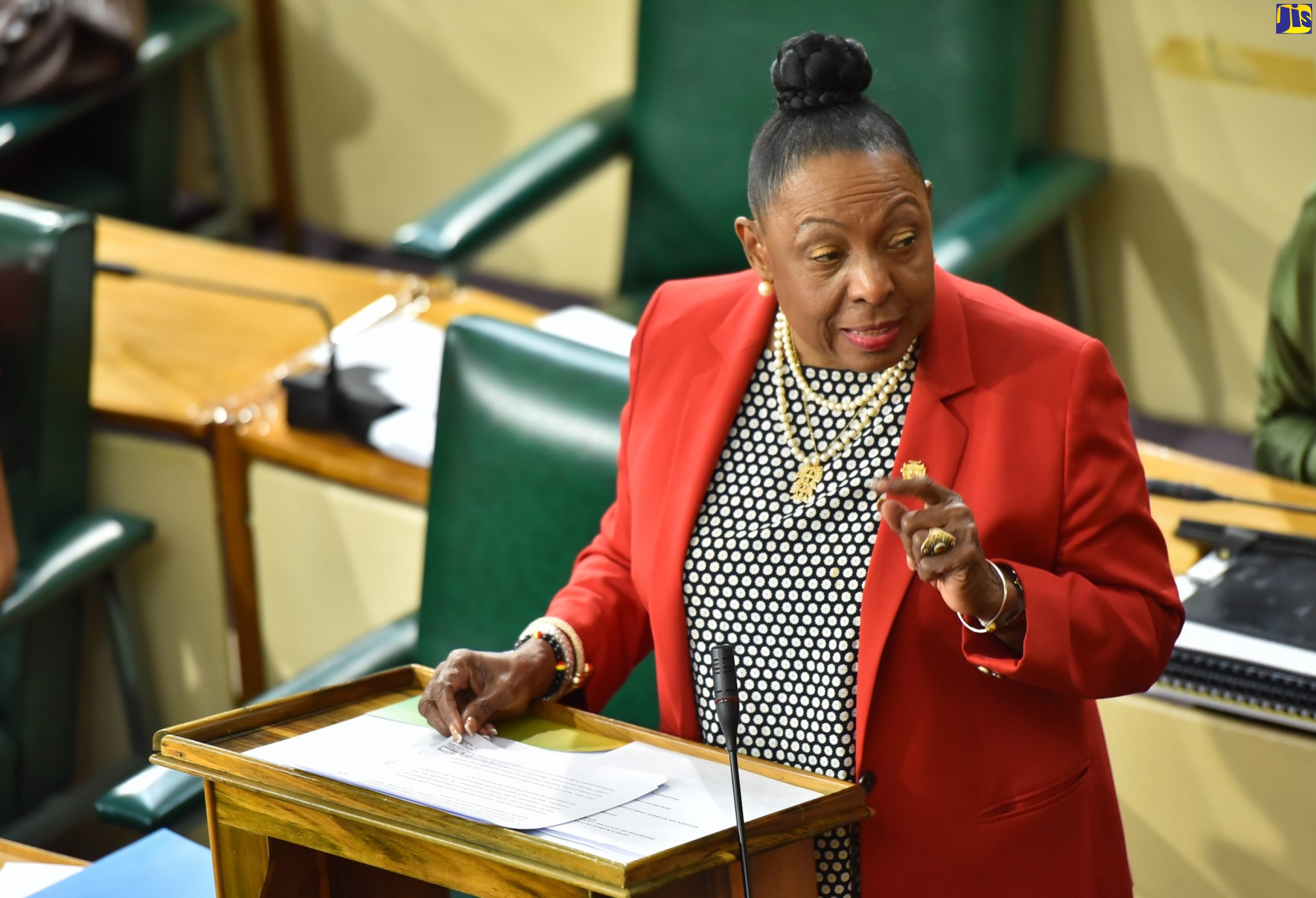 Minister of Culture, Gender, Entertainment and Sport, Hon. Olivia “Babsy” Grange, addresses the House of Representatives on December 6.