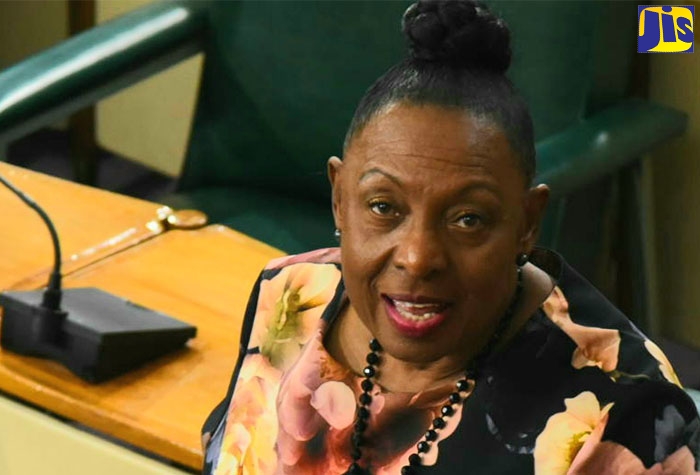 Minister of Culture, Gender, Entertainment and Sport, Hon. Olivia Grange, addresses the House of Representatives on December 13.