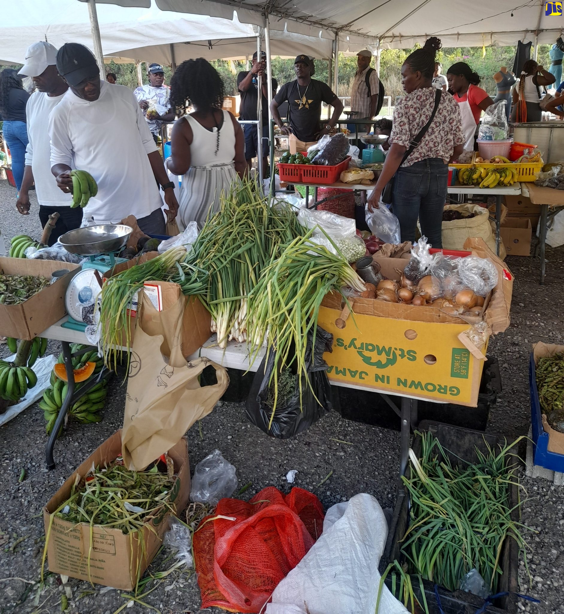 St. Catherine West Central Farmers Get Knapsack Sprayers