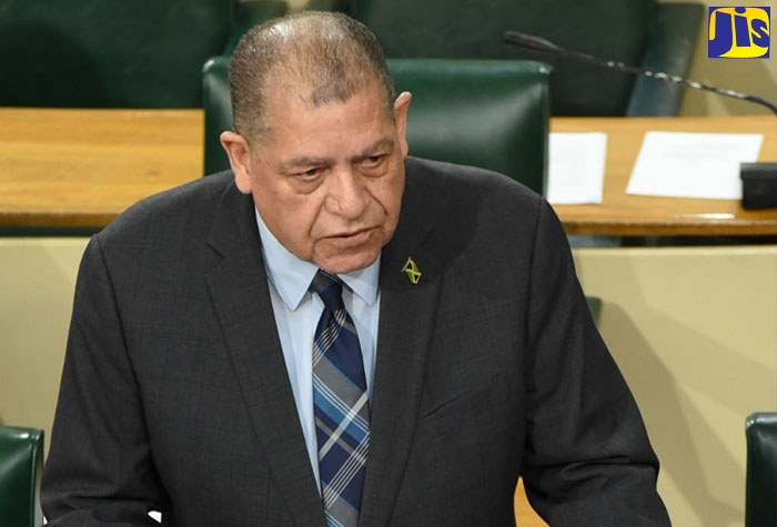 Minister of Transport and Mining, Hon. Audley Shaw, addresses the House of Representatives on Thursday (January 26).