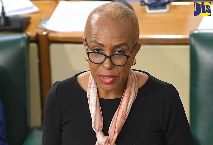 Minister of Education and Youth, Hon. Fayval Williams, speaking in the House of Representatives on January 10.
