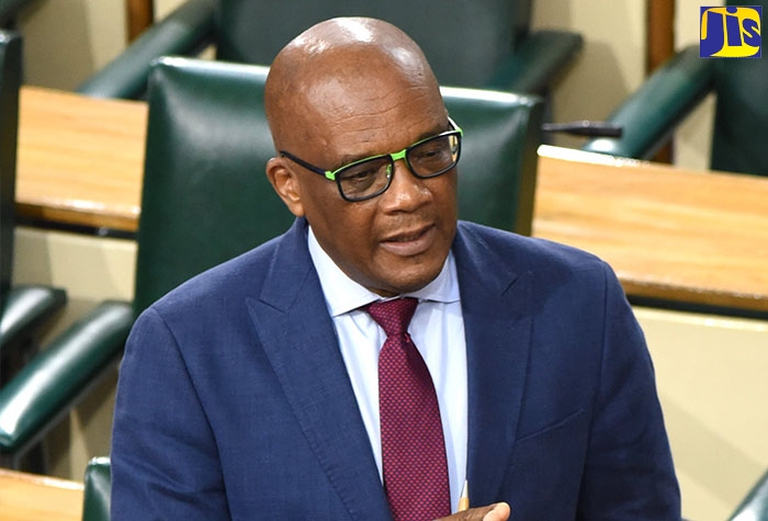 State Minister in the Ministry of Foreign Affairs and Foreign Trade, Senator the Hon. Leslie Campbell, addresses the Senate on Friday (January 27).