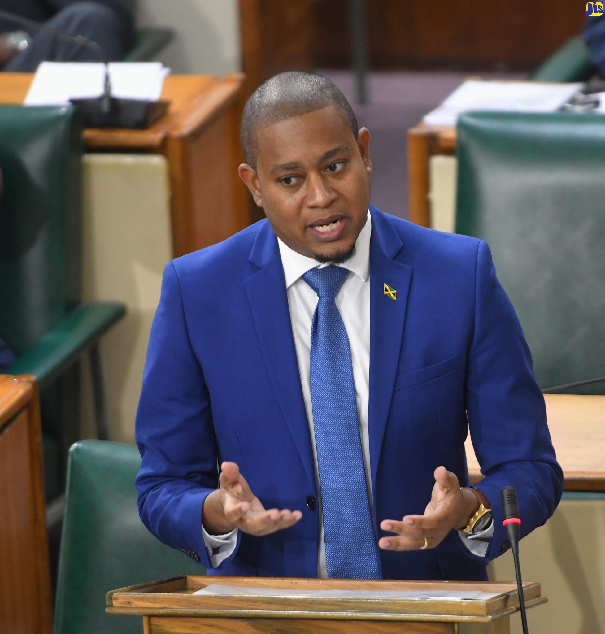 Minister without Portfolio in the Office of the Prime Minister, Hon. Floyd Green, speaking in the House of Representatives on Tuesday (January 10).