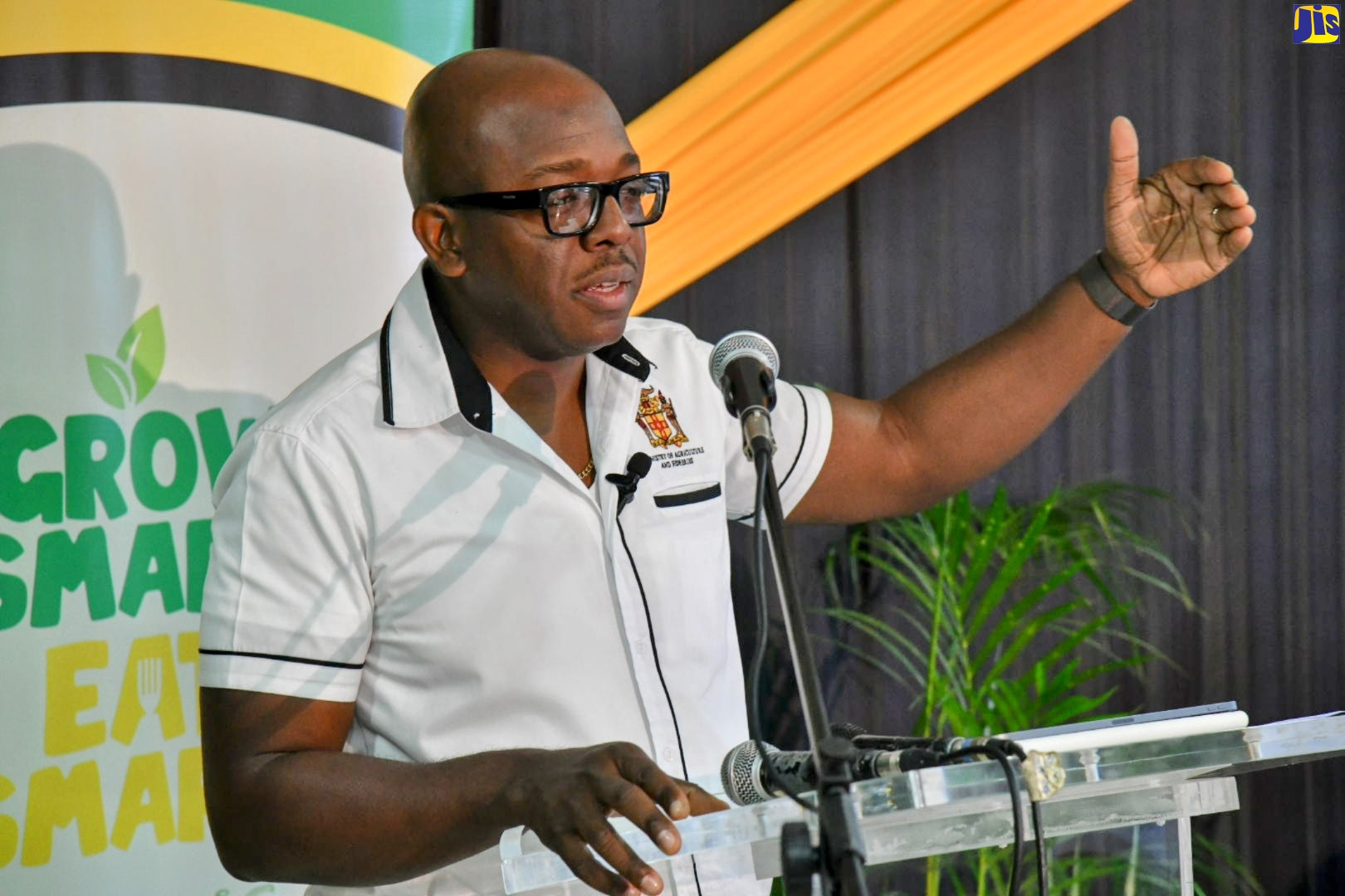 Minister of Agriculture and Fisheries, Hon. Pearnel Charles Jr., addressing a media briefing held at the Ministry’s offices in Kingston on February 10.