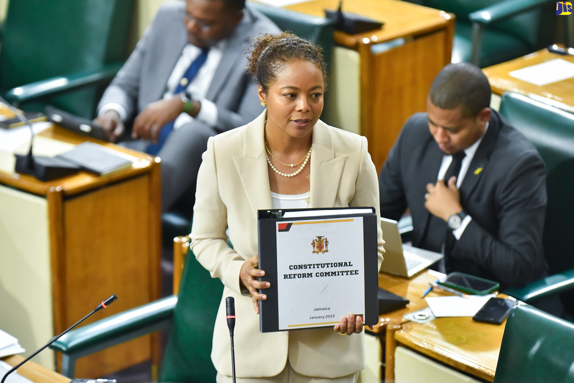 Minister of Legal and Constitutional Affairs, Hon. Marlene Malahoo Forte, delivers a Statement in the House of Representatives on February 7, on the establishment of the Constitutional Reform Committee.