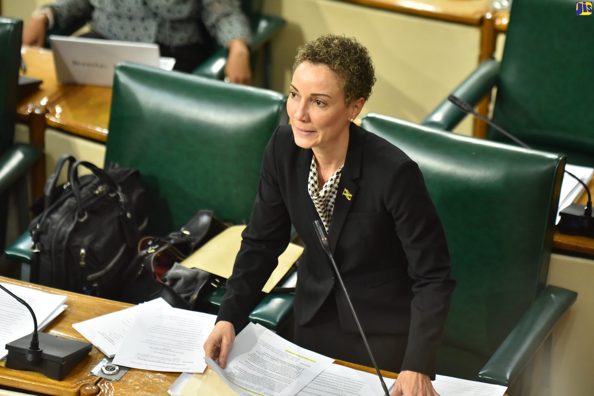 Minister of Foreign Affairs and Foreign Trade and Leader of Government Business in the Upper House, Senator the Hon. Kamina Johnson Smith, addressing Friday’s (February 10) sitting of the Senate at Gordon House.