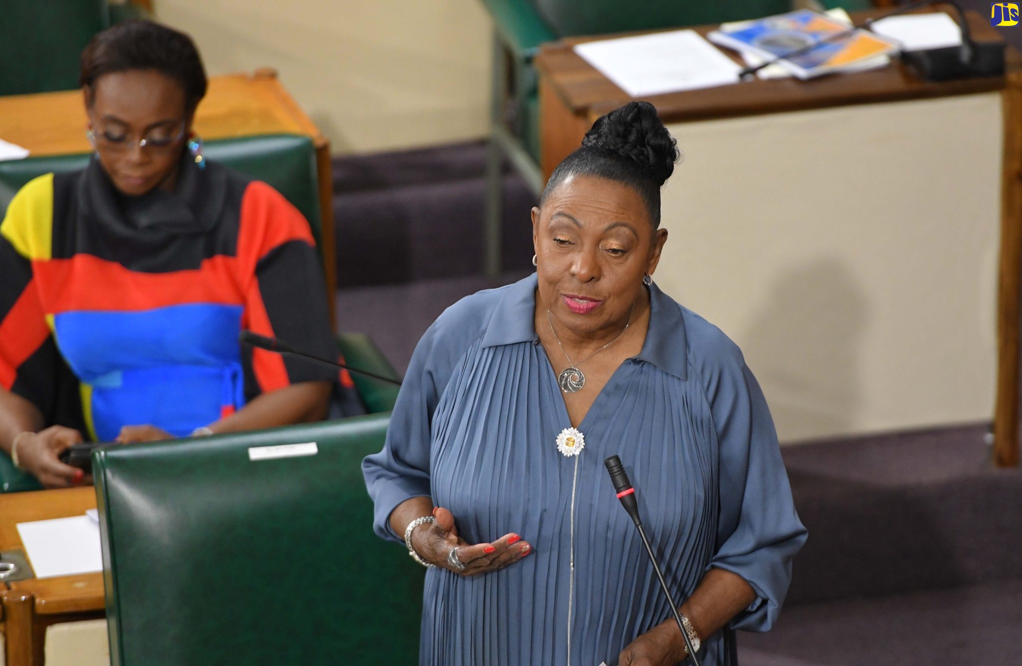 Minister of Culture, Gender, Entertainment and Sport, Hon. Olivia Grange, speaking on the motion of adjournment during Tuesday’s (February 24) sitting of the House of Representatives.