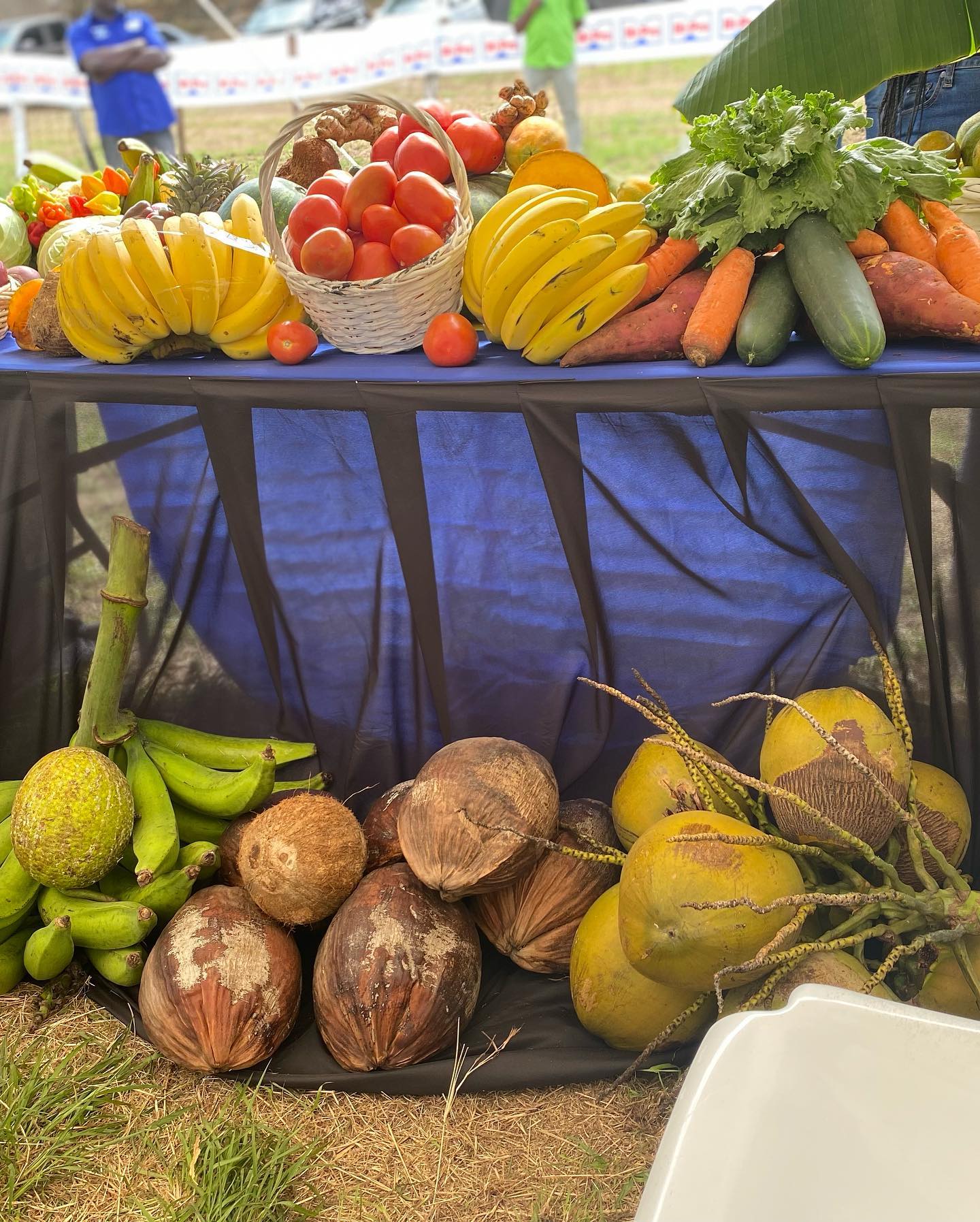 Farmers Lauded for Their Resilience