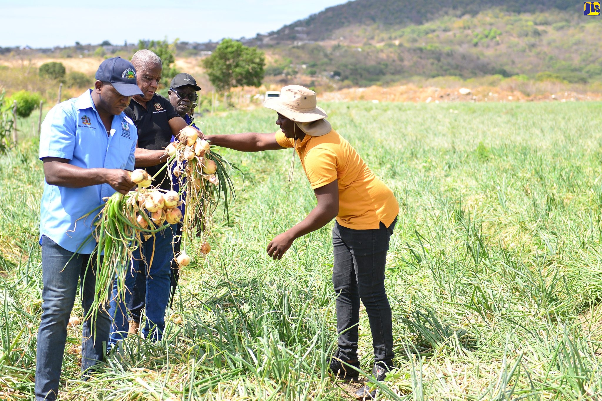 Agriculture Ministry Heightening Praedial Larceny Prevention Efforts