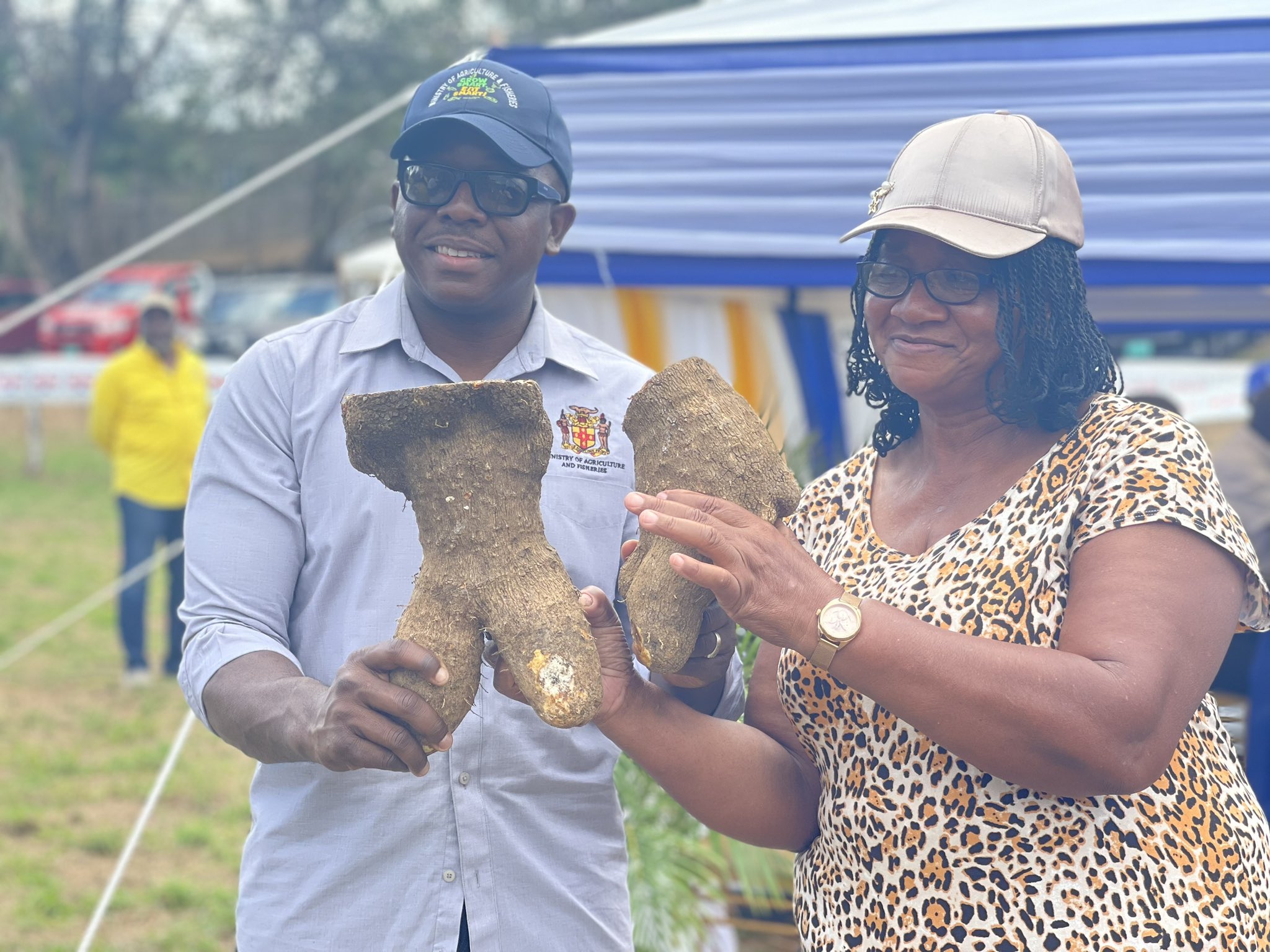 Trelawny Is Jamaica's 'Yam Belt' And Where Yam Legends Are Made