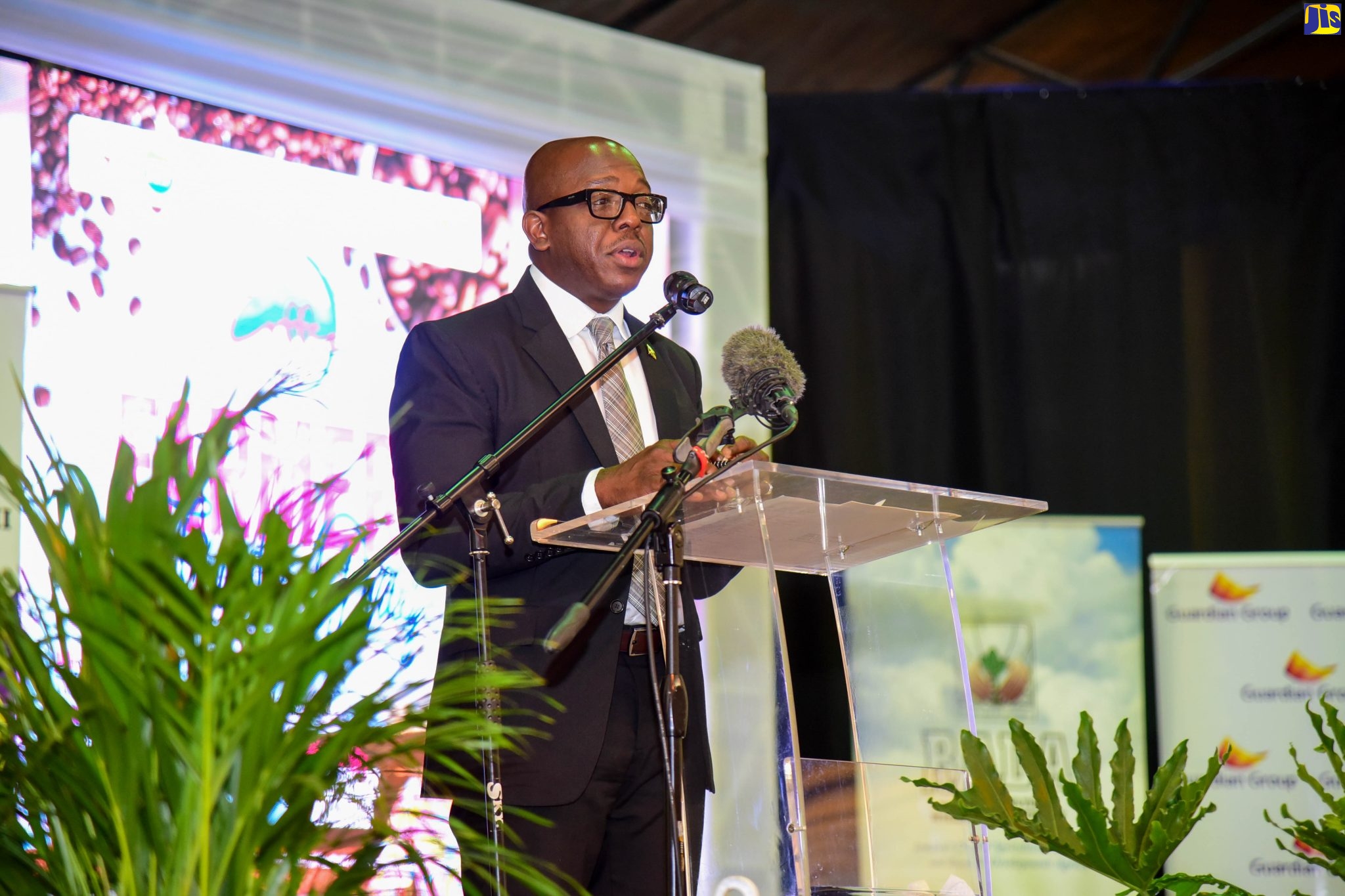 Increase in Coffee Production