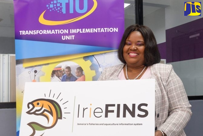 NFA to Launch New Online Fisheries Licensing System