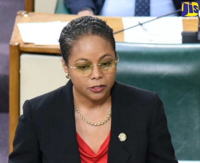 Minister of Legal and Constitutional Affairs, Hon. Marlene Malahoo Forte, makes a statement to the House of Representatives on March 28.