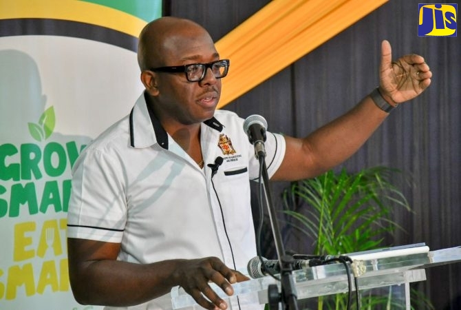 Minister of Agriculture and Fisheries, Hon. Pearnel Charles Jr.