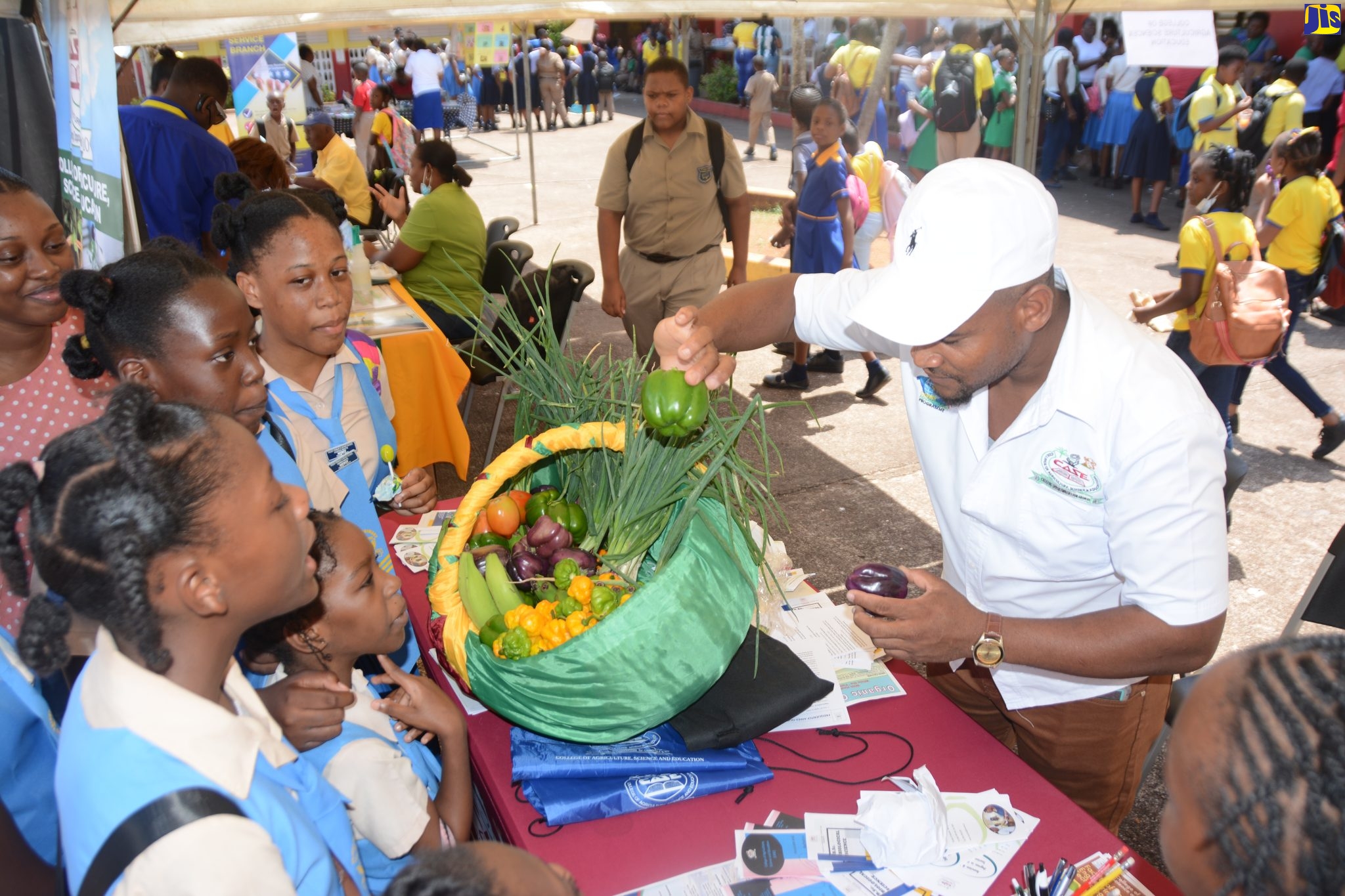 Jamaica 4-H Clubs Driving Youth Empowerment in Agriculture