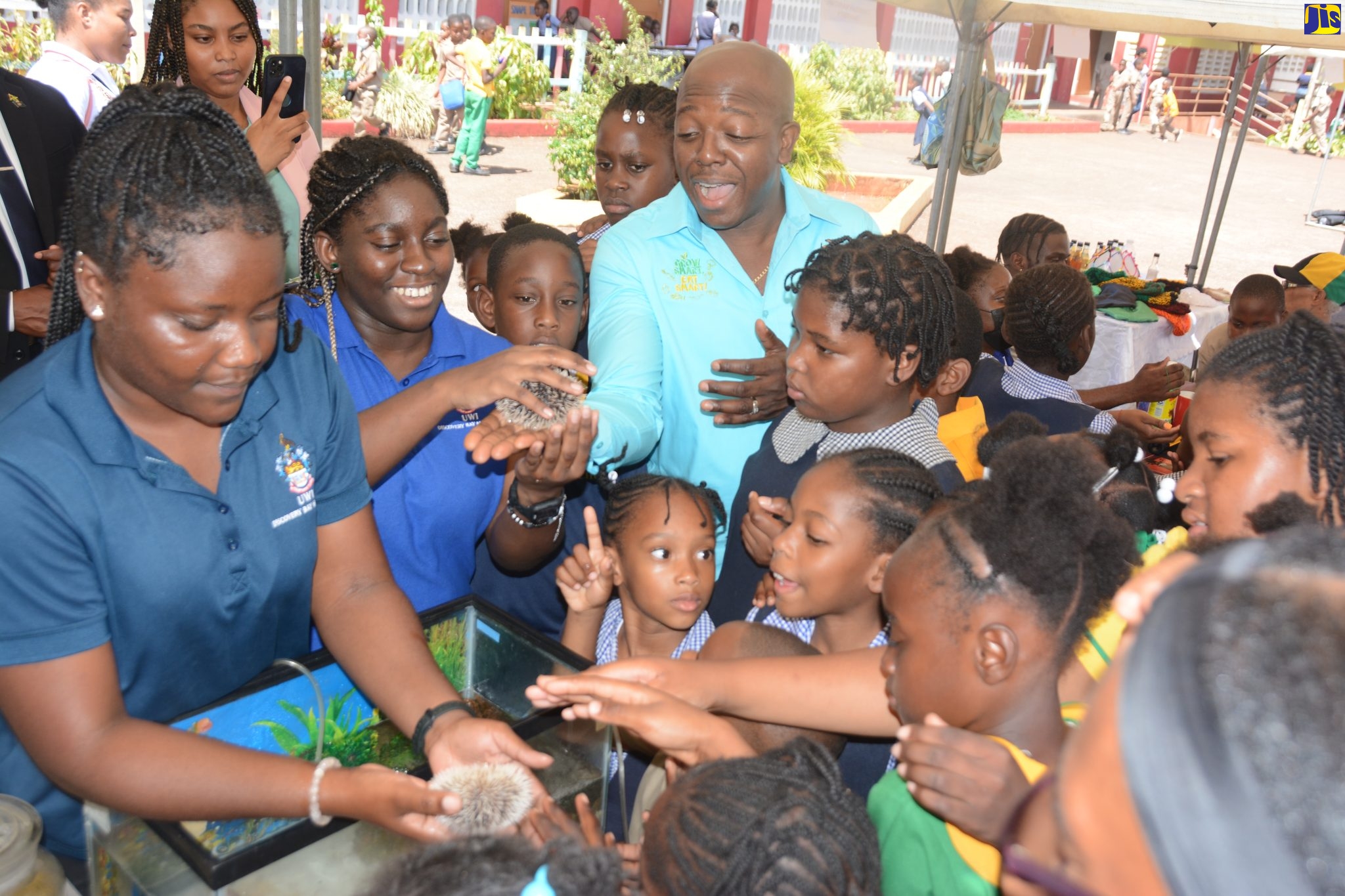Jamaica 4-H Clubs Driving Youth Empowerment in Agriculture