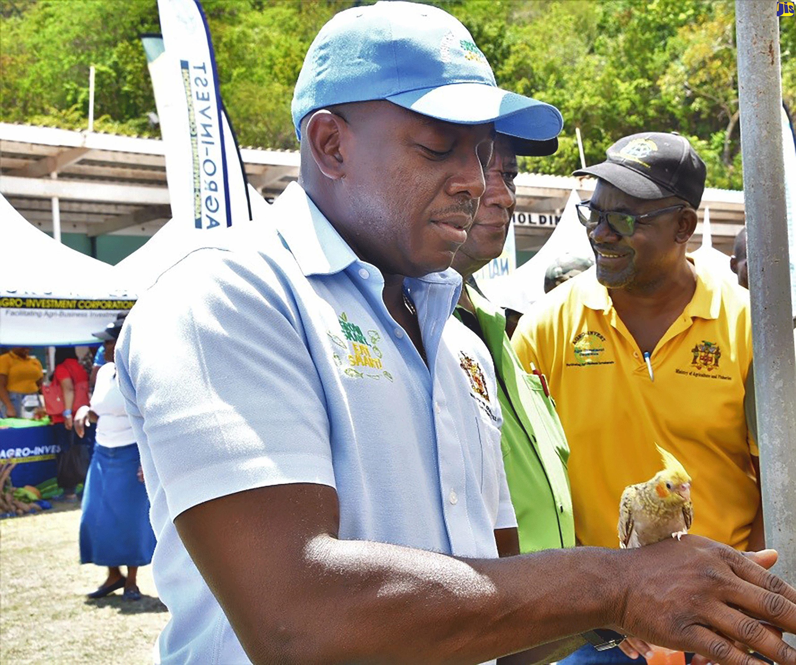 St. Ann Farmers Urged to Prepare for Tourism Boom