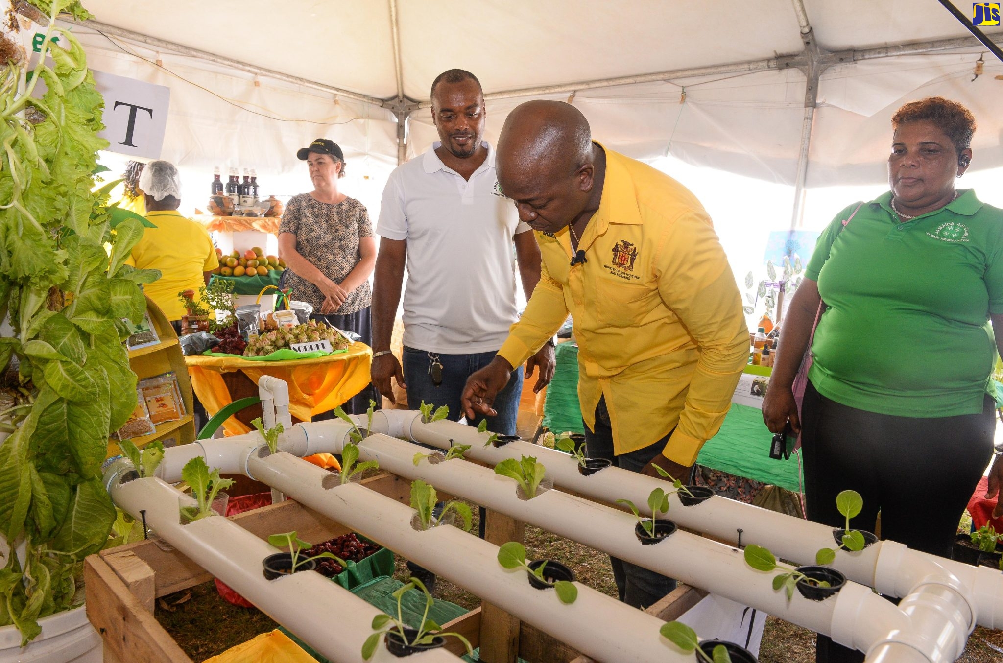 Agriculture Minister Commends Jamaica 4-H Clubs for Championing Youth in Agriculture