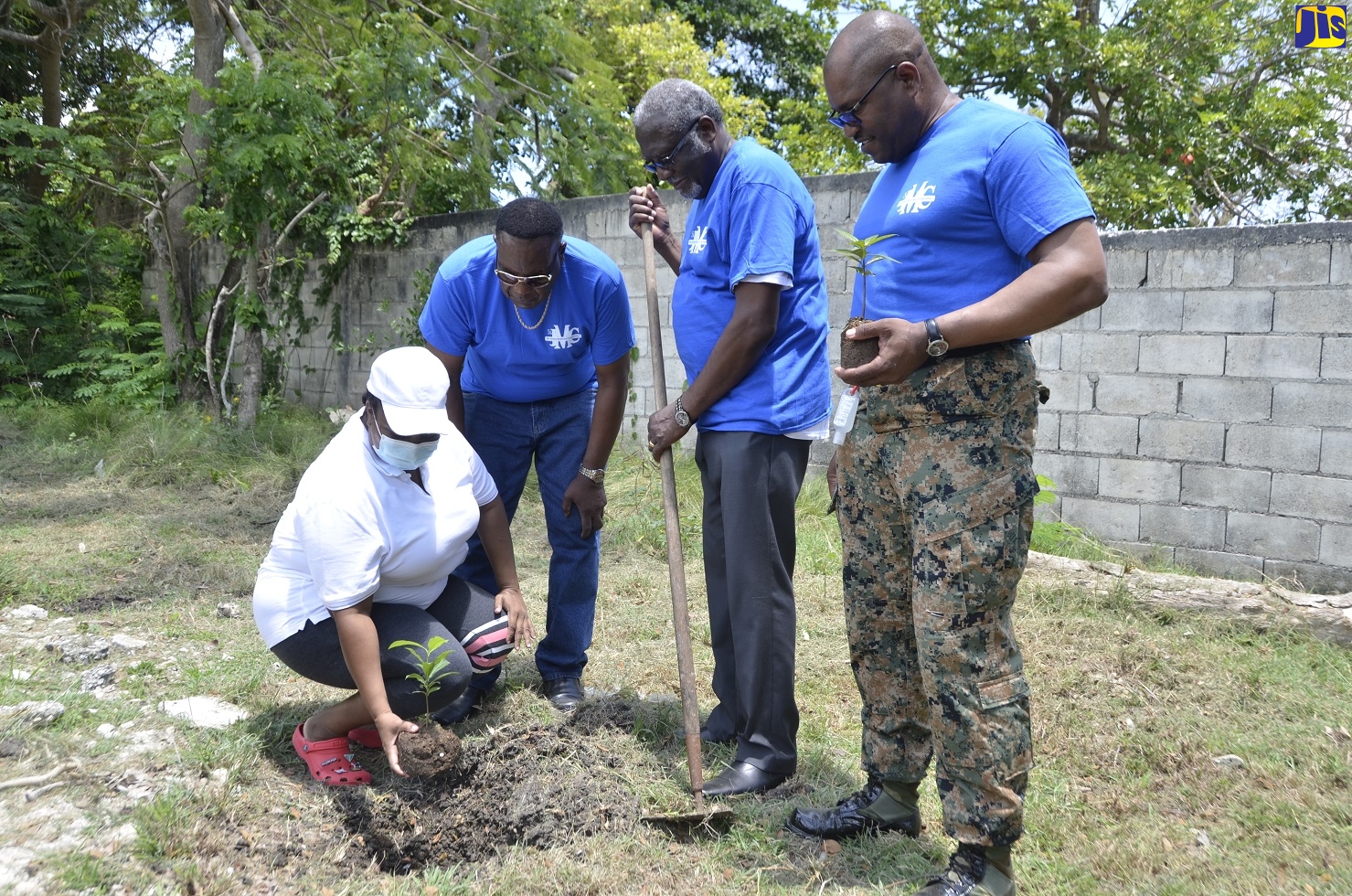 Strong Support for Labour Activities in St. James