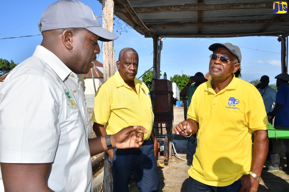 Agriculture Ministry Strengthening Support for Dairy Industry