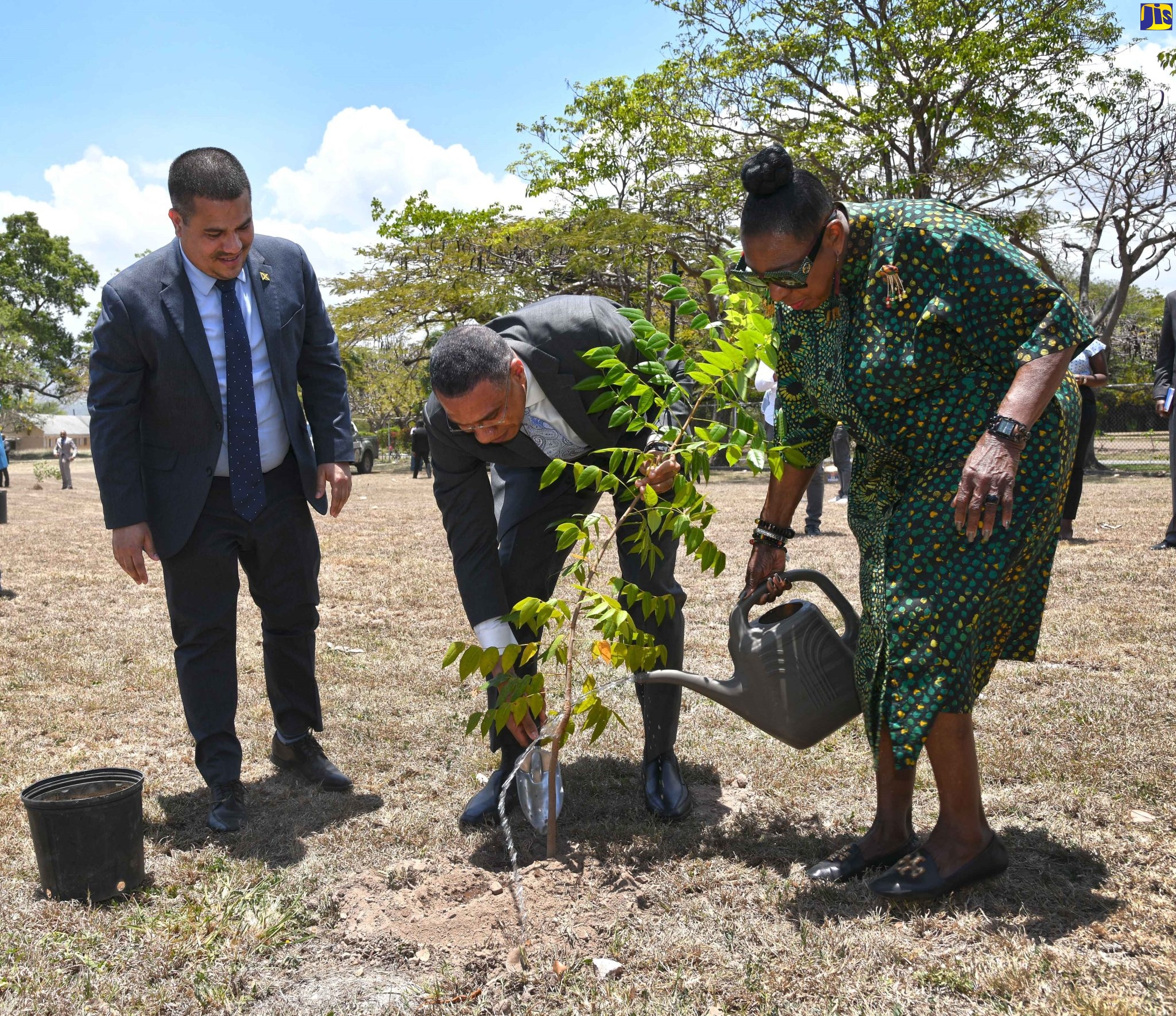 Jamaicans Encouraged to Plant Trees on Labour Day