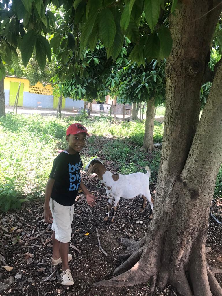 Seven-Year-Old Goat Farmer Gets Help from Agriculture Ministry to Replenish Depleted Herd