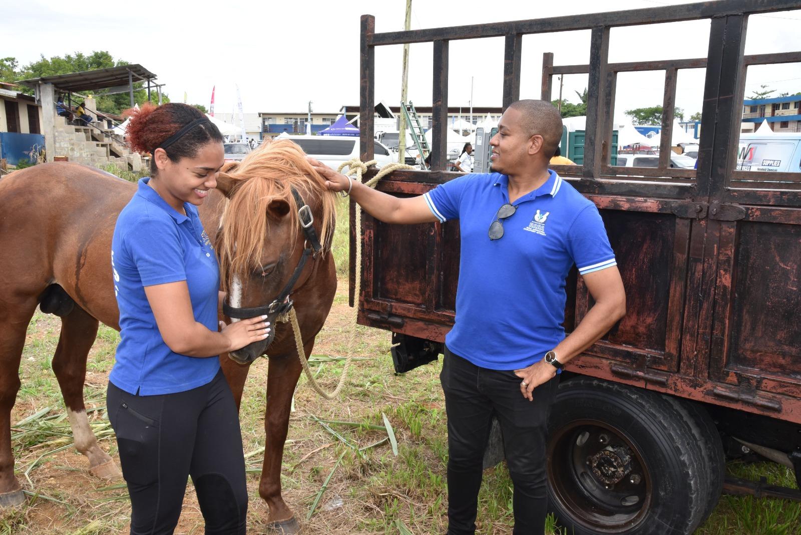 Minister of Agriculture, Fisheries and Mining, Hon. Floyd Green, examines Quiet Storm, a chestnut stallion owned by Dr. Arielle Foote (left), daughter of Westmoreland Veterinarian, Dr. Dingle Foote, during the Westmoreland Agricultural Show 2023, at Manning’s School in Savanna-la-Mar, Westmoreland, on May 28. 
