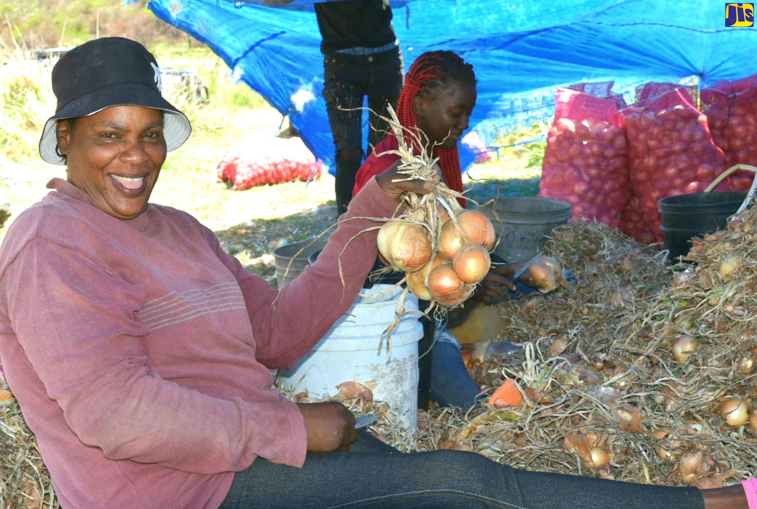 Prime Minister Lauds St. Thomas Farmers for Outstanding Onion Production