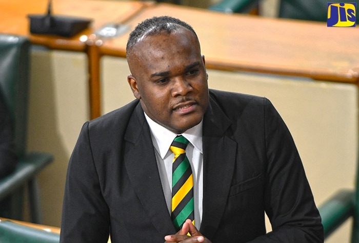 Senator Fitz-Henley Calls for Amendments to Laws to Discourage Public Mischief