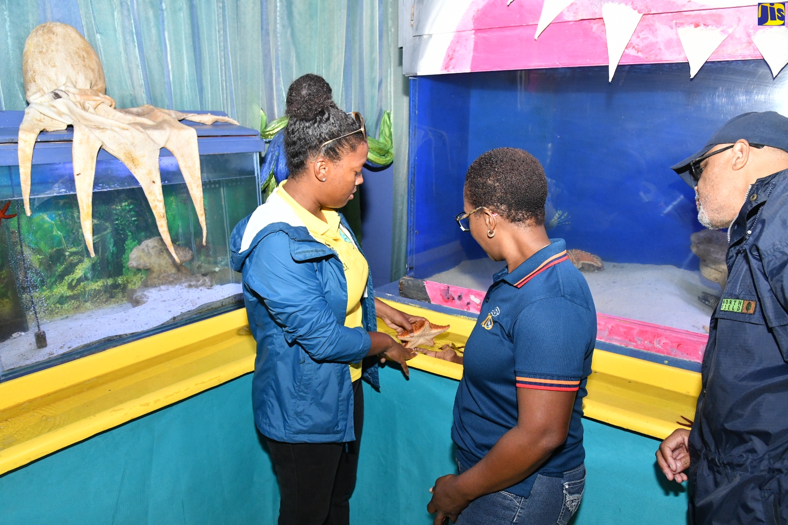 Scientific Officer at the University of the West Indies (UWI) Port Royal Marine Laboratory, Chauntelle Parkins (left), shows Director of the Jamaica Public Service (JPS) Company Foundation, Winsome Callum (centre), and Health, Safety, Environment and Quality Director, Total Energies, Robert Holdsworth, marine species at the Lab’s Biodiversity Centre in Kingston, during a tour on Friday (June 2).