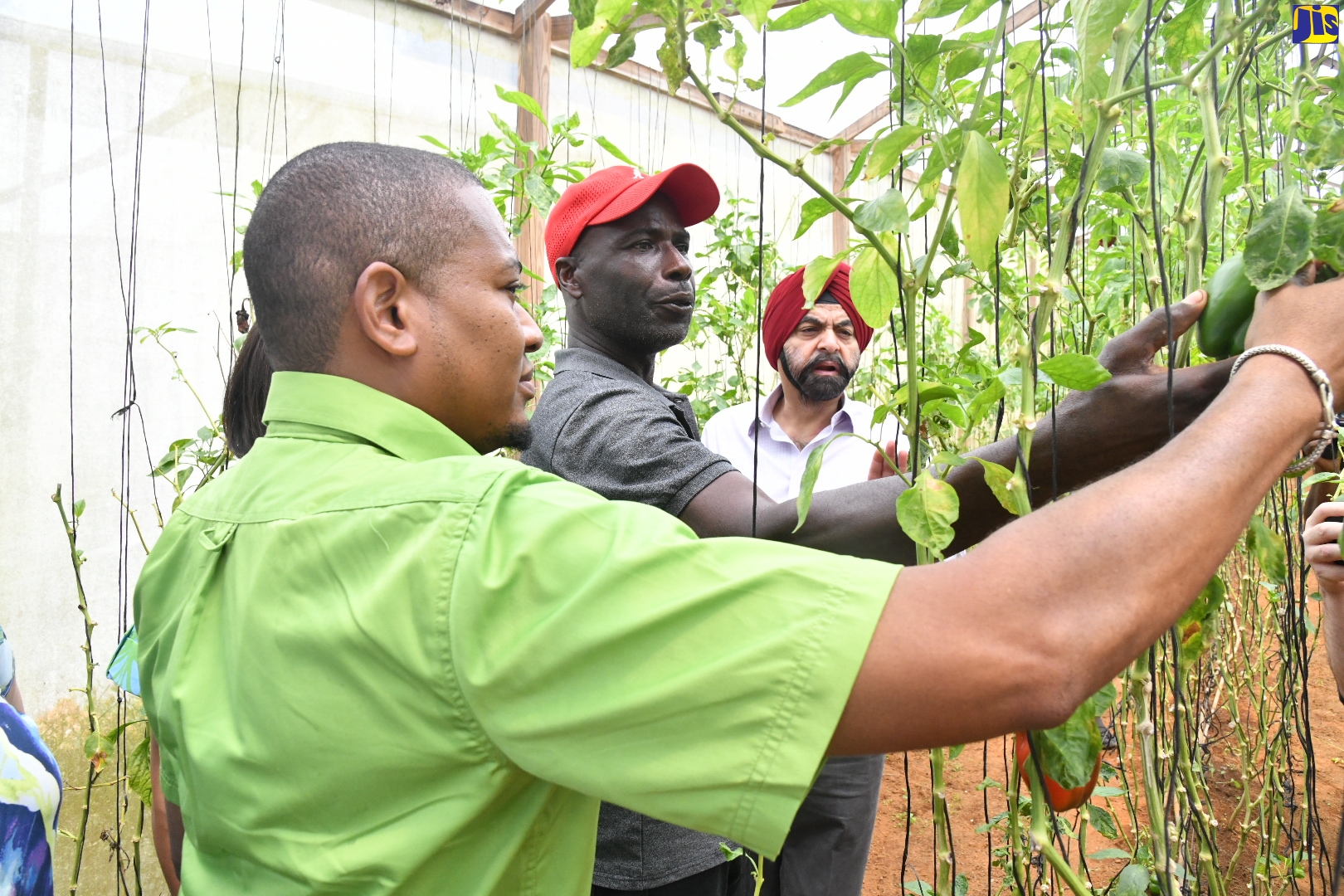 World Bank President Praises Jamaica’s Economic Health