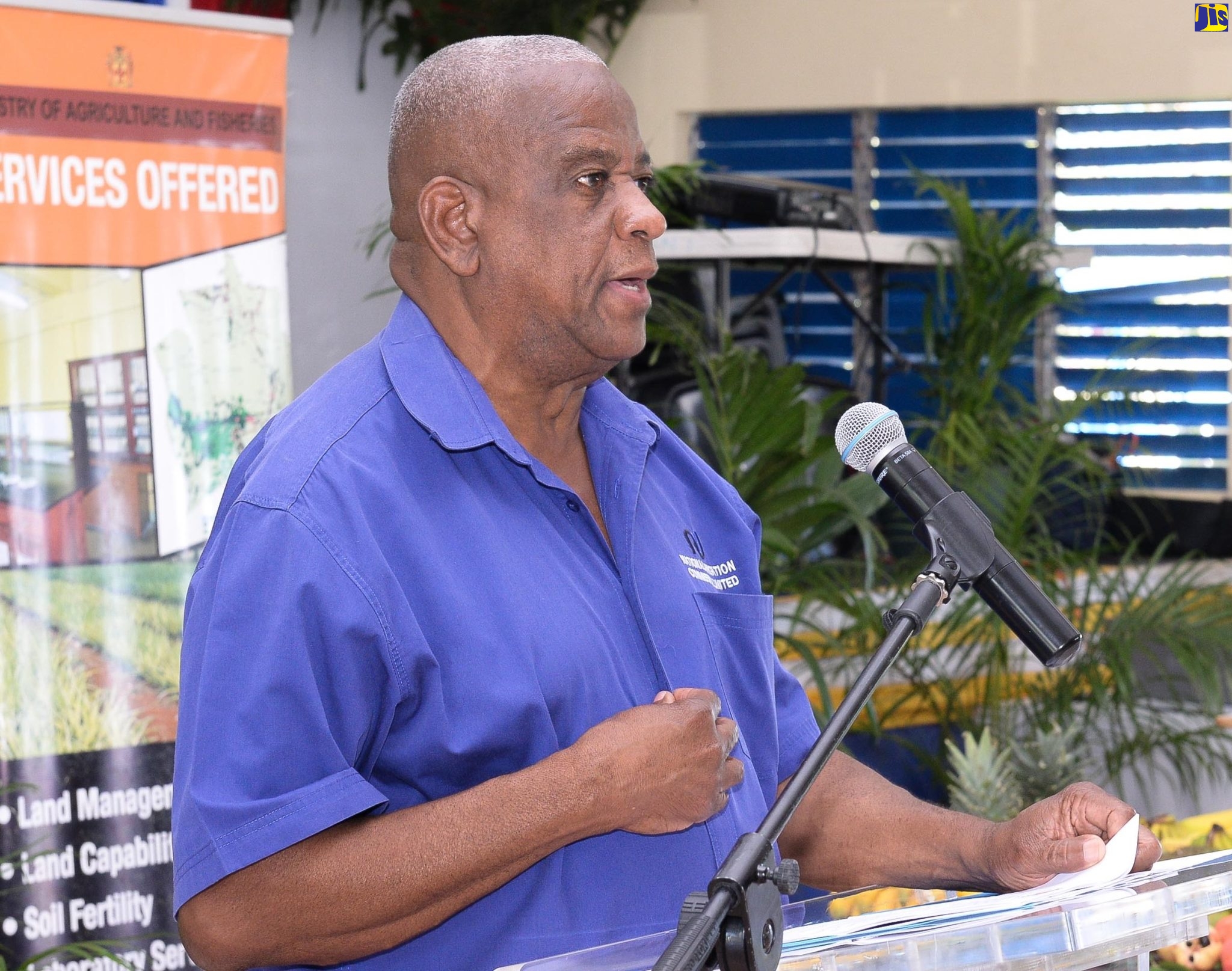 Farmers in Kingston and St. Andrew Hailed for Making Significant Strides in Production