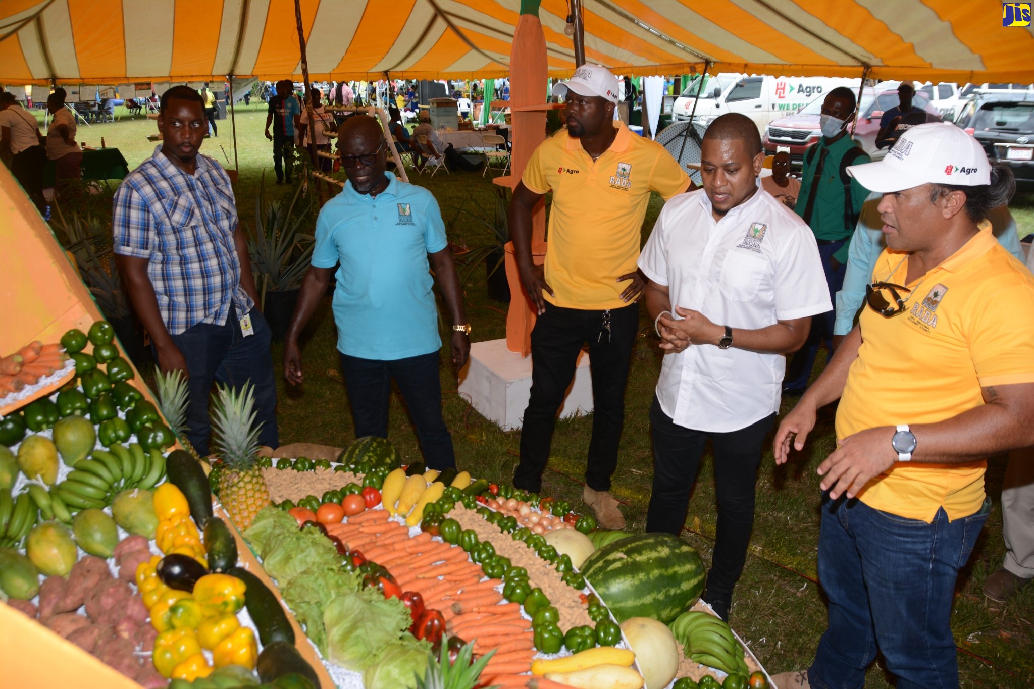 Minister of Agriculture, Fisheries and Mining, Hon. Floyd Green (second right), looks at the colourful display of fruits and vegetables at the Rural Agricultural Development Authority’s (RADA) St. Elizabeth ‘Agrifest’ at the Social Development Commission (SDC) Complex in Santa Cruz, St. Elizabeth, on June 9. Looking on are (from left): Director of Minerals, Land and Environmental Management in the Ministry, Dorlan Burrell; RADA’s Acting Chief Executive Officer, Winston Simpson; RADA St. Elizabeth Deputy Parish Manager, Jermaine Wilson; and RADA St. Elizabeth Parish Agricultural Manager (Acting), Mark Lee.