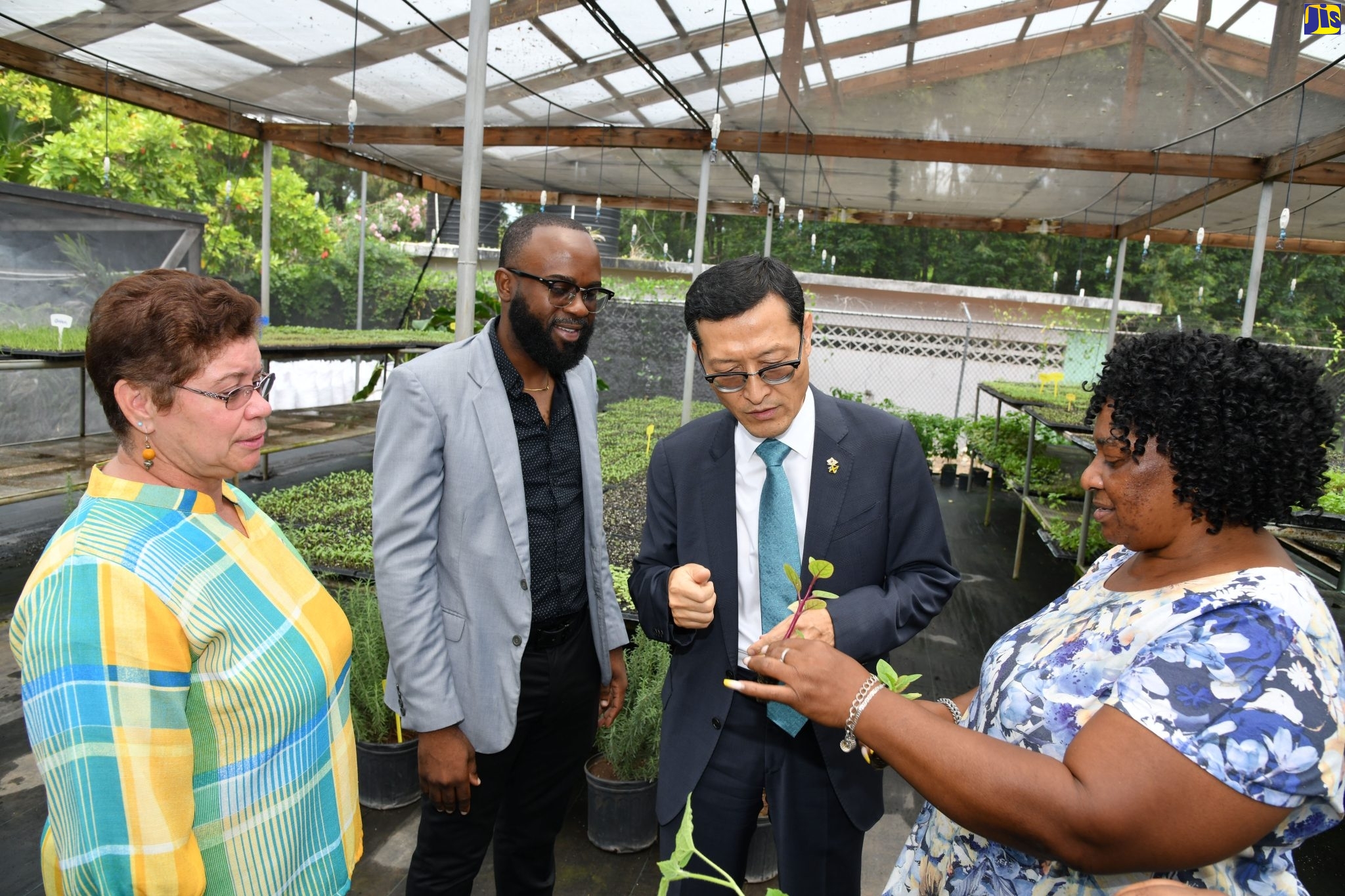 PHOTOS Charge D’ Affaires, Korean Embassy Visits Bauxite Institute Jamaica Information Service