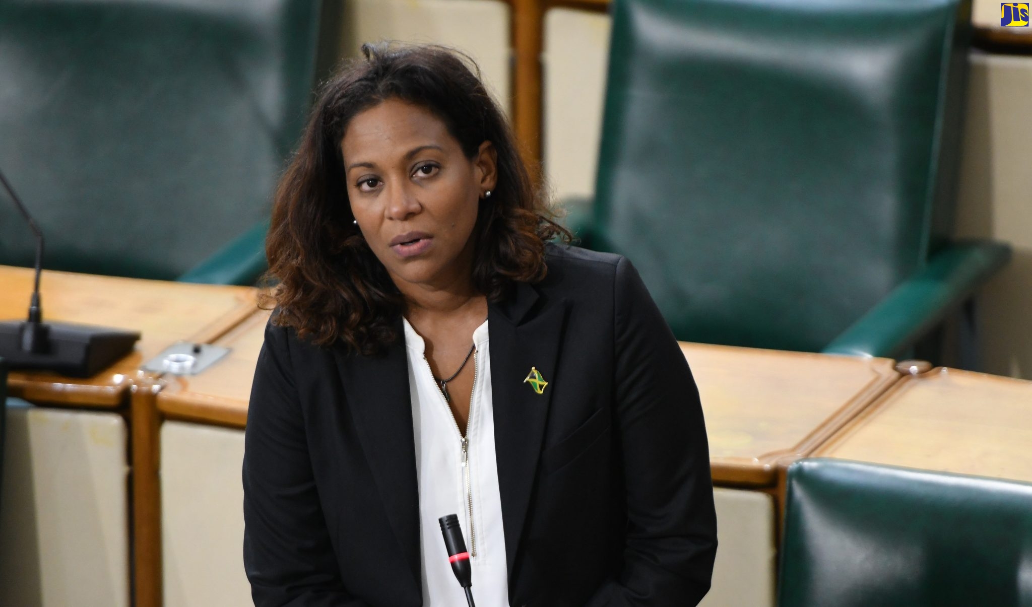 Government Senator, Dr. Saphire Longmore, addressing the sitting of the Senate on June 16.