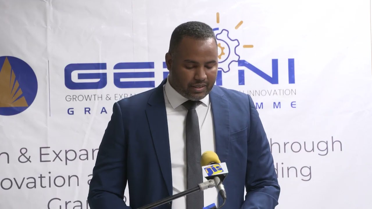 DBJ GEMINI Grant Programme