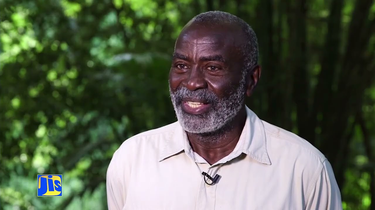 Jamaica Magazine-19.06.2023