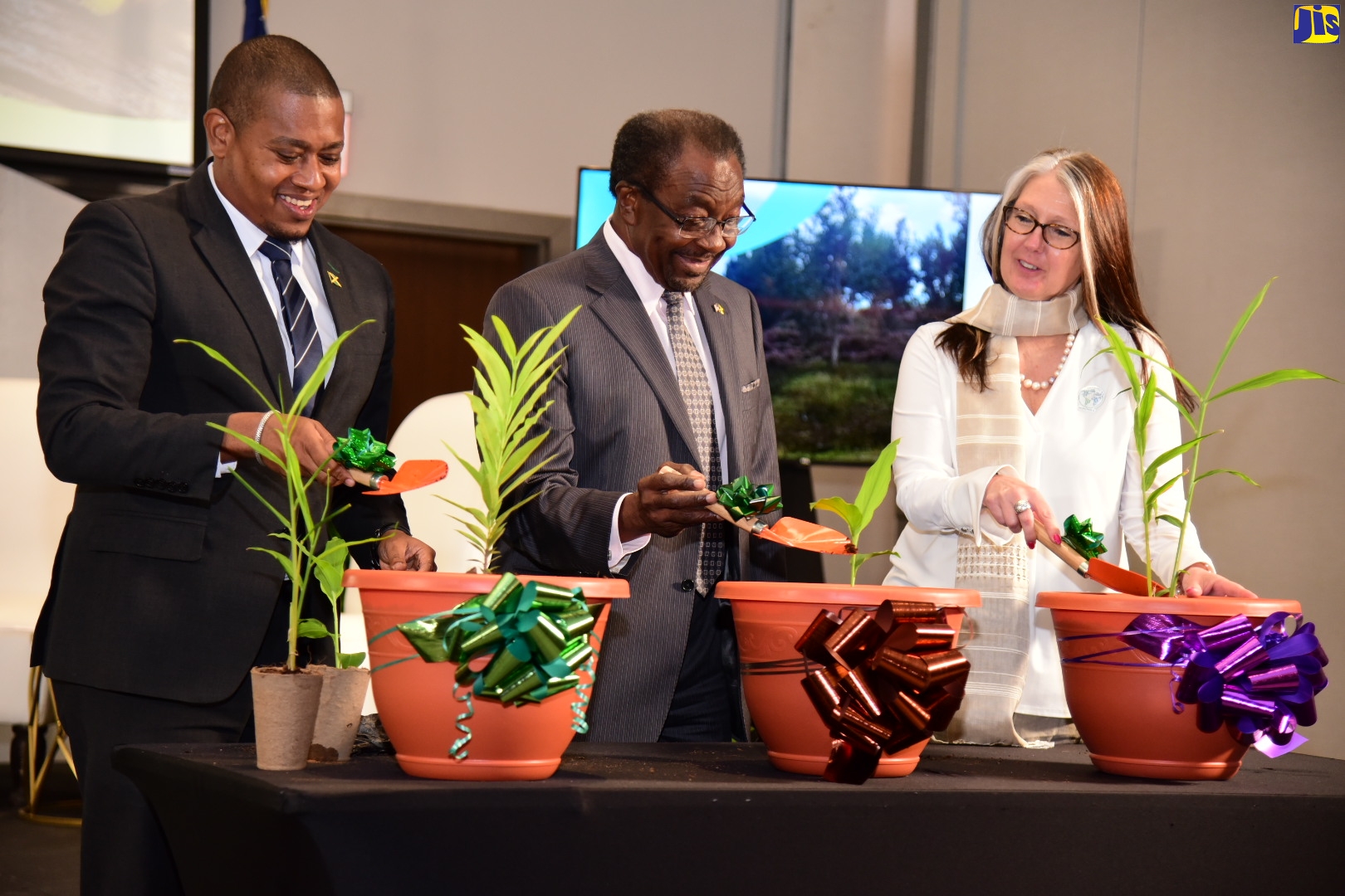 Minister of Agriculture, Fisheries and Mining, Hon. Floyd Green (left), plants spice seedlings along with United States Ambassador to Jamaica, His Excellency Nick Perry (centre), and President and Chief Executive Officer, Agricultural Cooperative Development International/Volunteers in Overseas Cooperative Assistance (ACDI/VOCA), Sylvia Megret. Occasion was the launch of the Food for Progress Jamaica Spices project at the AC Hotel by Marriott Kingston on Thursday (June 1).