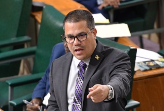 Minister without Portfolio in the Ministry of Economic Growth and Job Creation, Senator the Hon. Matthew Samuda, addressing today’s (July 28) sitting of the Senate.