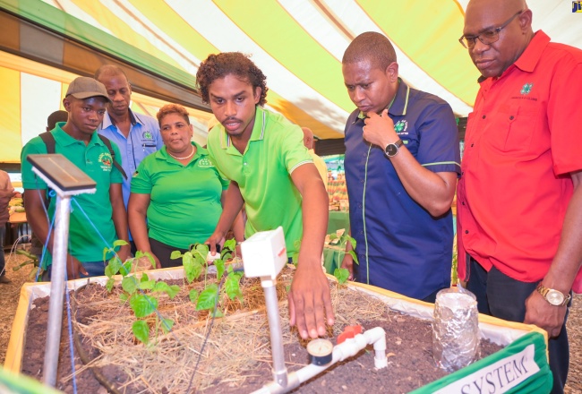 Minister of Agriculture, Fisheries and Mining, Hon. Floyd Green (second right), listens as youth farmer, Javian Bassier (third right), explains features of his smart irrigation system. The occasion was a tour of the booth showcasing Youth in Agriculture displays during the 69th Denbigh Agricultural, Industrial and Food Show at the Denbigh Showground in May Pen, Clarendon, on Saturday (August 5). Among the other persons looking on is Chairman, National Youth in Agriculture Committee, Joseph Small (right).