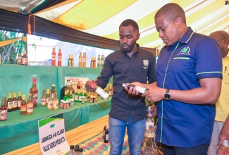 Minister of Agriculture, Fisheries and Mining, Hon. Floyd Green (right), and Public Relations and Marketing Manager (Acting), Jamaica 4-H Clubs, Jovaughn Bailey, examine products on display at the Youth in Agriculture Village, during the 69th Denbigh Agricultural, Industrial and Food Show at the Denbigh Showground in May Pen, Clarendon on Saturday (August 5).